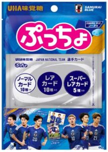 ぷっちょ袋 サッカー日本代表カード